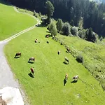 Apartment In Hollersbach Near Slopes