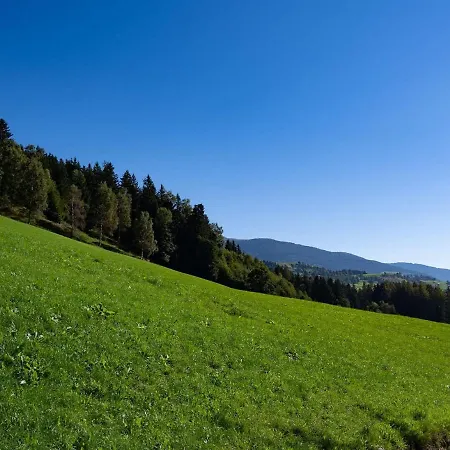 Flat With National Park Card Included Bramberg am Wildkogel
