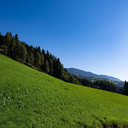 In Hollersbach Near Slopes *