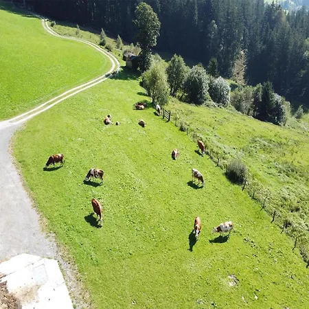 Apartamento In Hollersbach Near Slopes