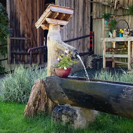 In Hollersbach Near Slopes * Bramberg am Wildkogel