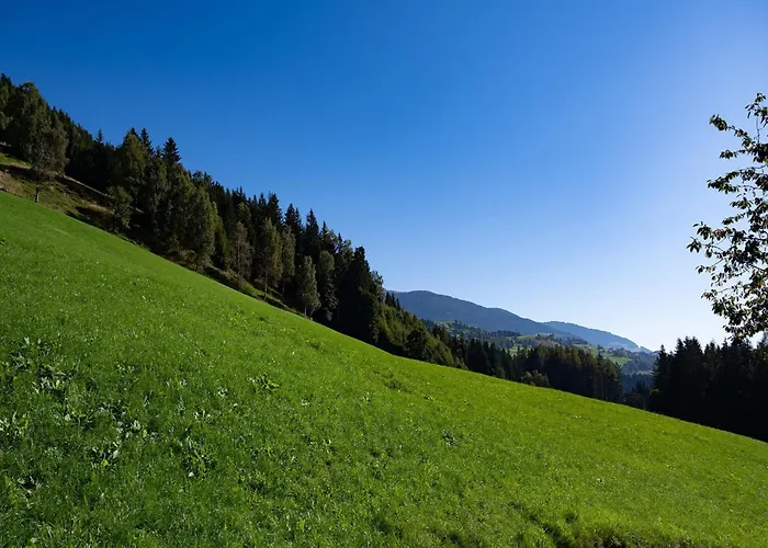 In Hollersbach Near Slopes *